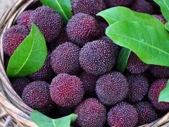 嘉弘塑料護(hù)目鏡專用PVC粒料，助力早日打贏疫情